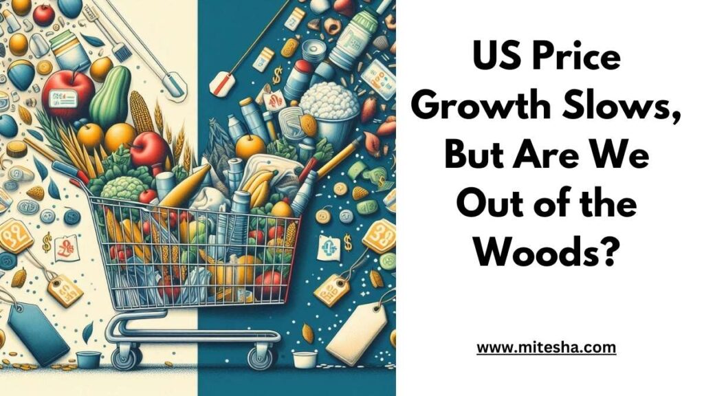 US Price Growth Slows, But Are We Out of the Woods?